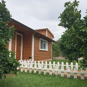 The Mussel House Holiday home Ksamil